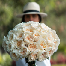 Exquisite Roses + Ruscus [Newsletter Exclusive]
